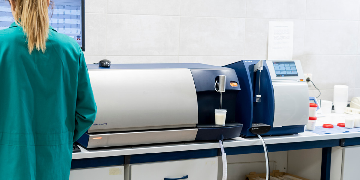 Analysis of Greek yoghurt in the laboratory with the use of Bacsomatic