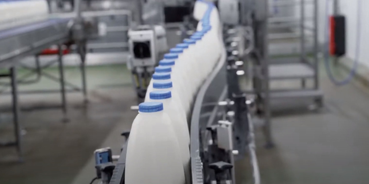 Milk bottles on the line