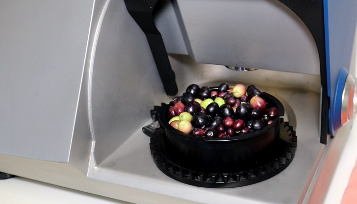 OliveScan2 determina grasa humedad acidez sanidad maduracion