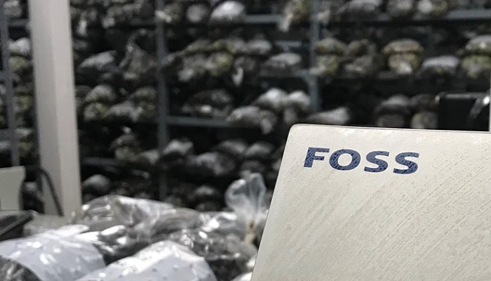 resultados rapidos en aceituna entera