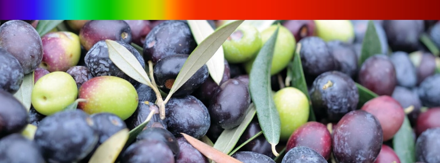 fundamentos nir aceite