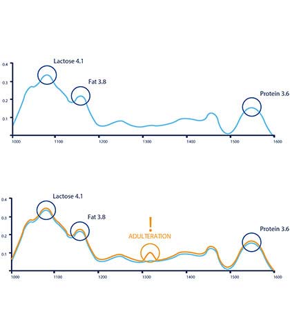 Adulterations in raw milk