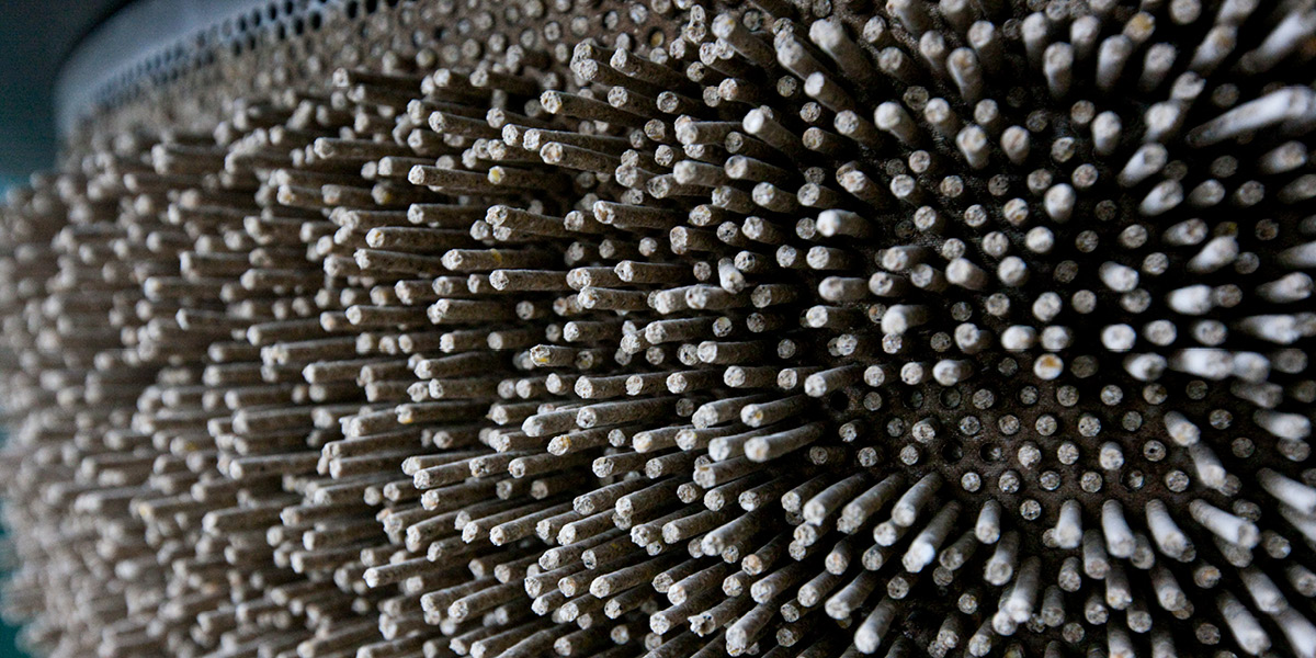 Feed Pellet