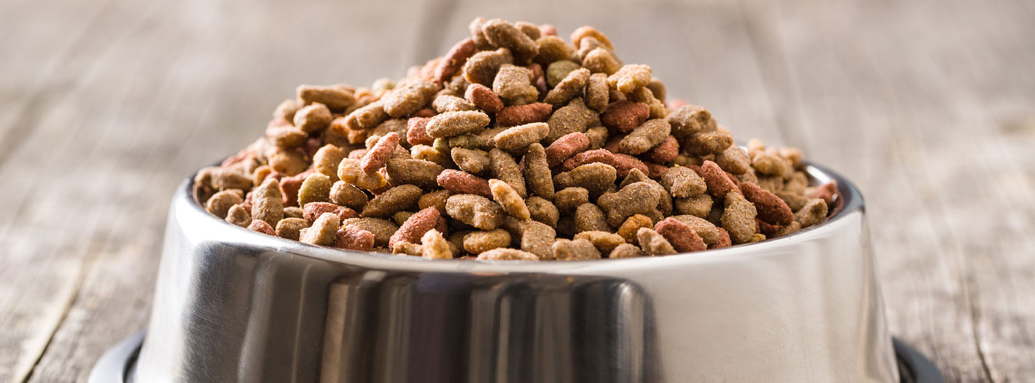 Perfección en cada bolsa con las pruebas de alimentos para mascotas 