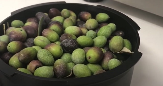 Analizador NIR de aceituna entera