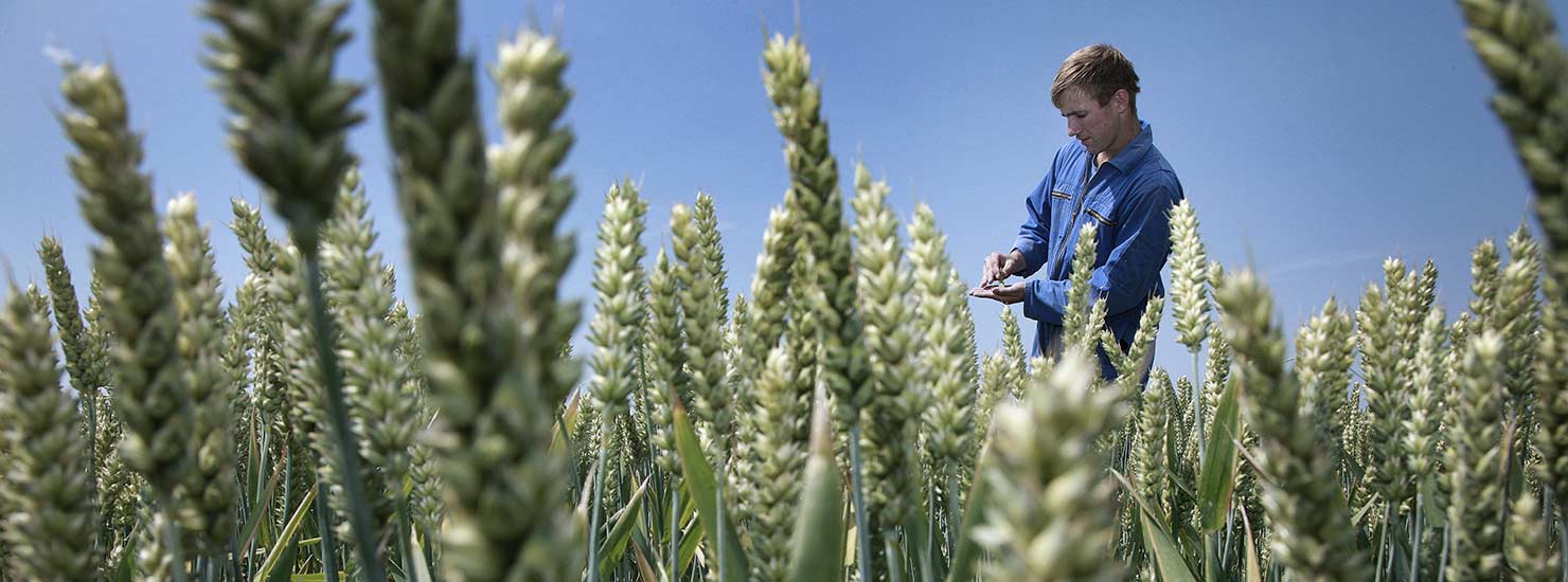 Transferability and why it is important for your NIR analysis operations