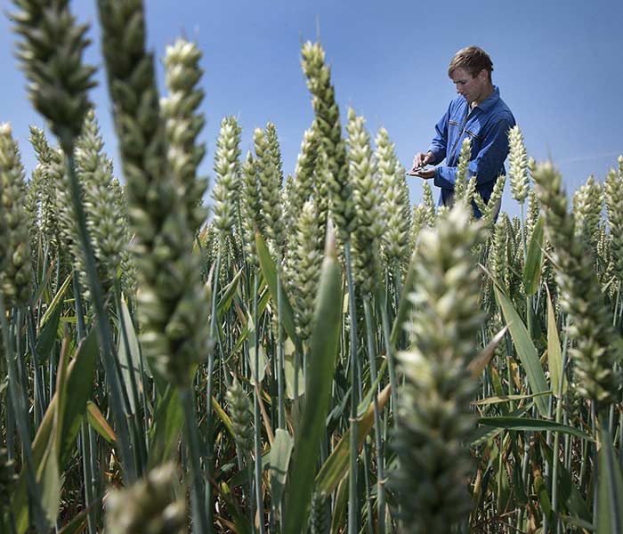 Transferability and why it is important for your NIR analysis operations