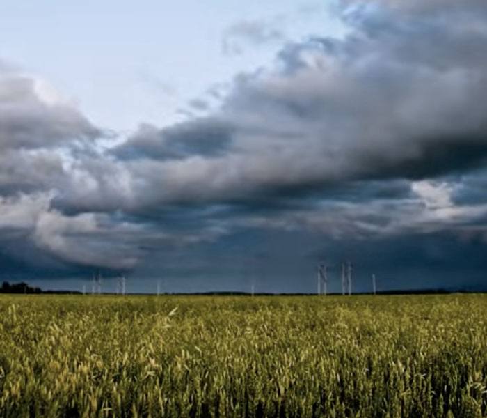 Efficient grain testing