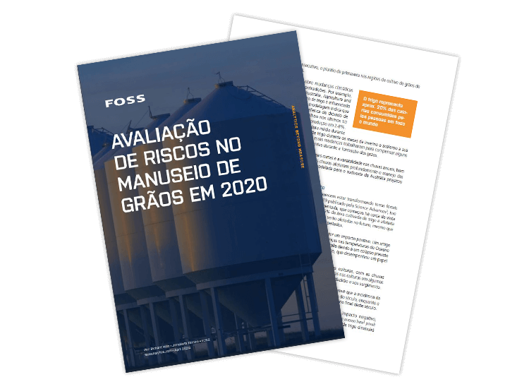 Capa do eBook Avaliação de riscos no manuseio de grãos