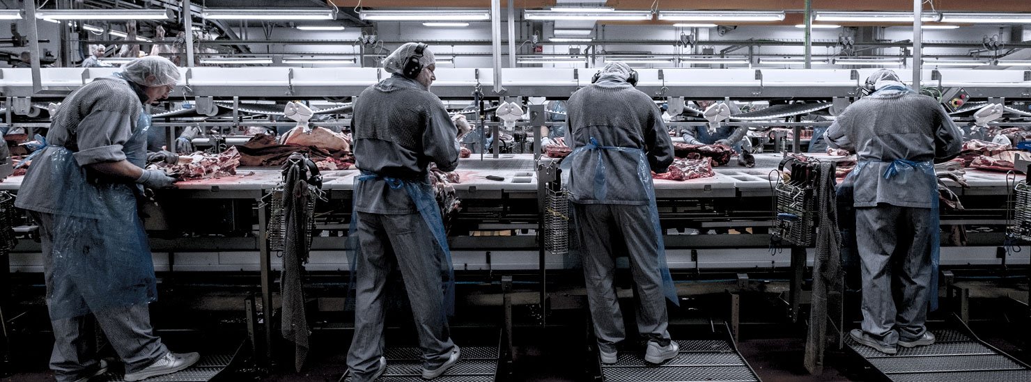 Cutting and deboning