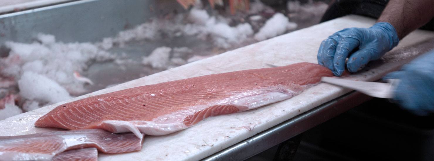 Fish S Type R Meat Fish meat analysis and final product quality control with FOSS