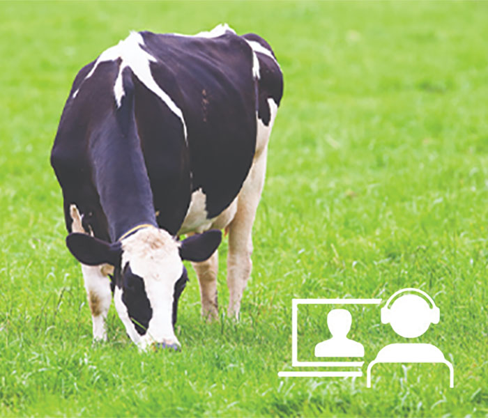 Better mastitis control with the new Udder Health Tool