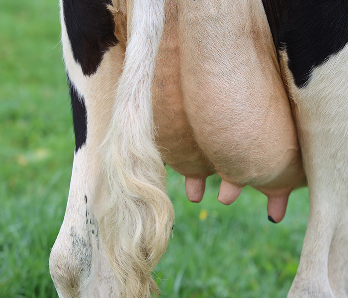 DSCC testing provides added value for Estonian farmers