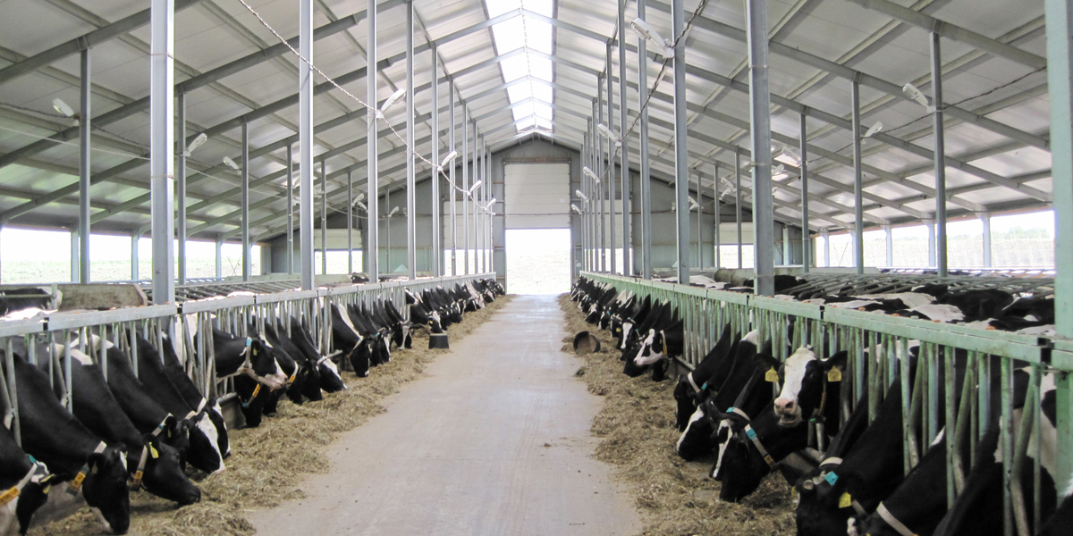 The dairy farming industry pulls together for a more sustainable future