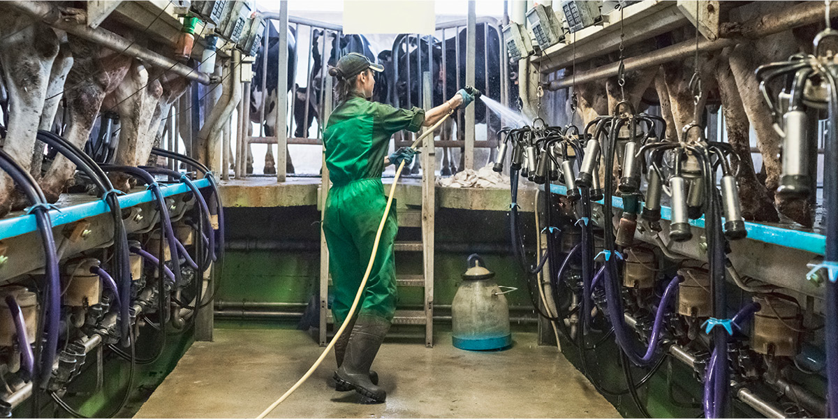 Raw milk testing: A crucial step to improve herd health and tackle antimicrobial resistance