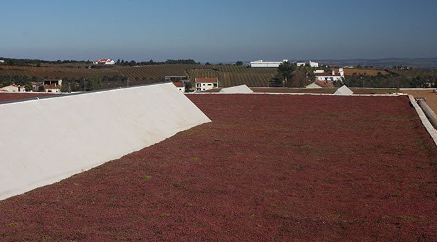 Testing sulphur dioxide in wine