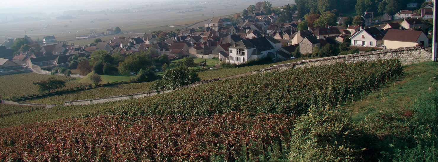 Keeping Burgundy the best