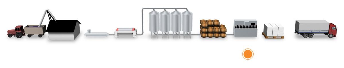 와인 생산 프로세스