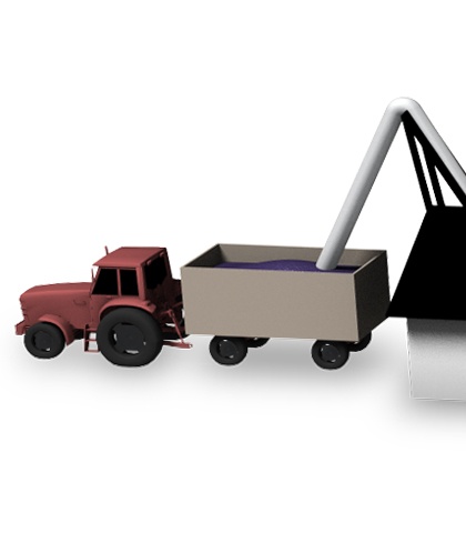 와인 생산 프로세스