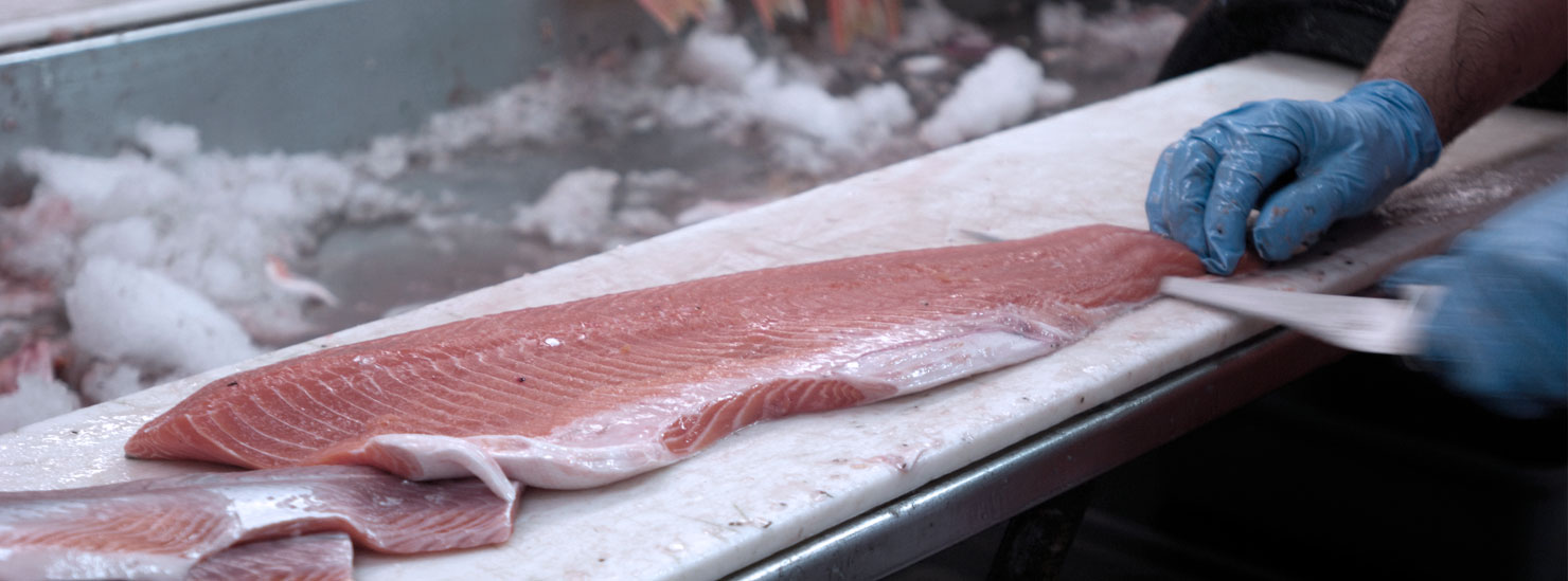 Salmon fillet