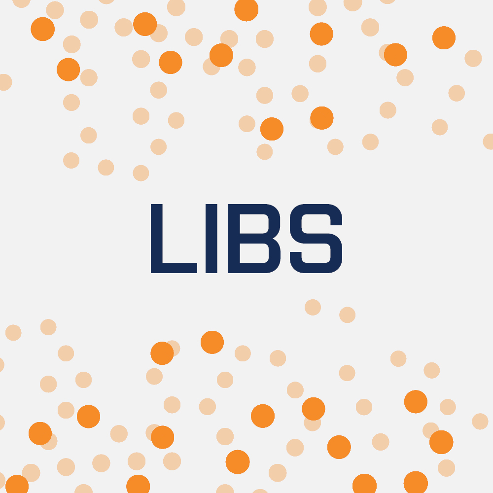 LIBS - Laser-Induced Breakdown Spectroscopy