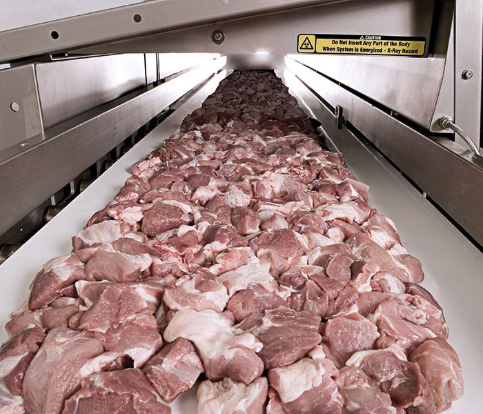 X Ray Technology For Routine Analysis Of Fat In Meat